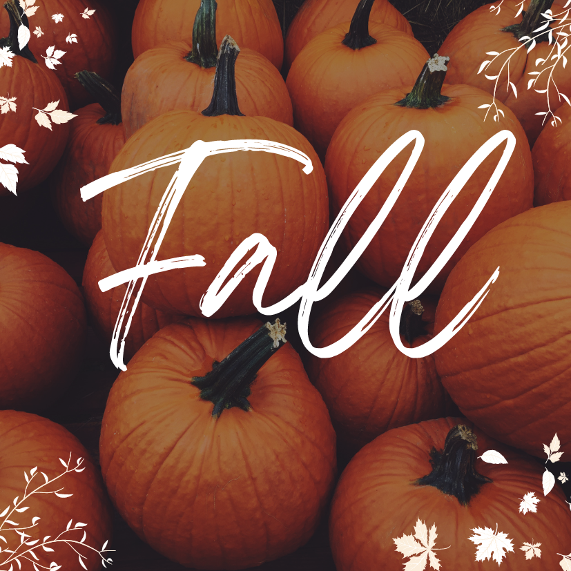 Fall