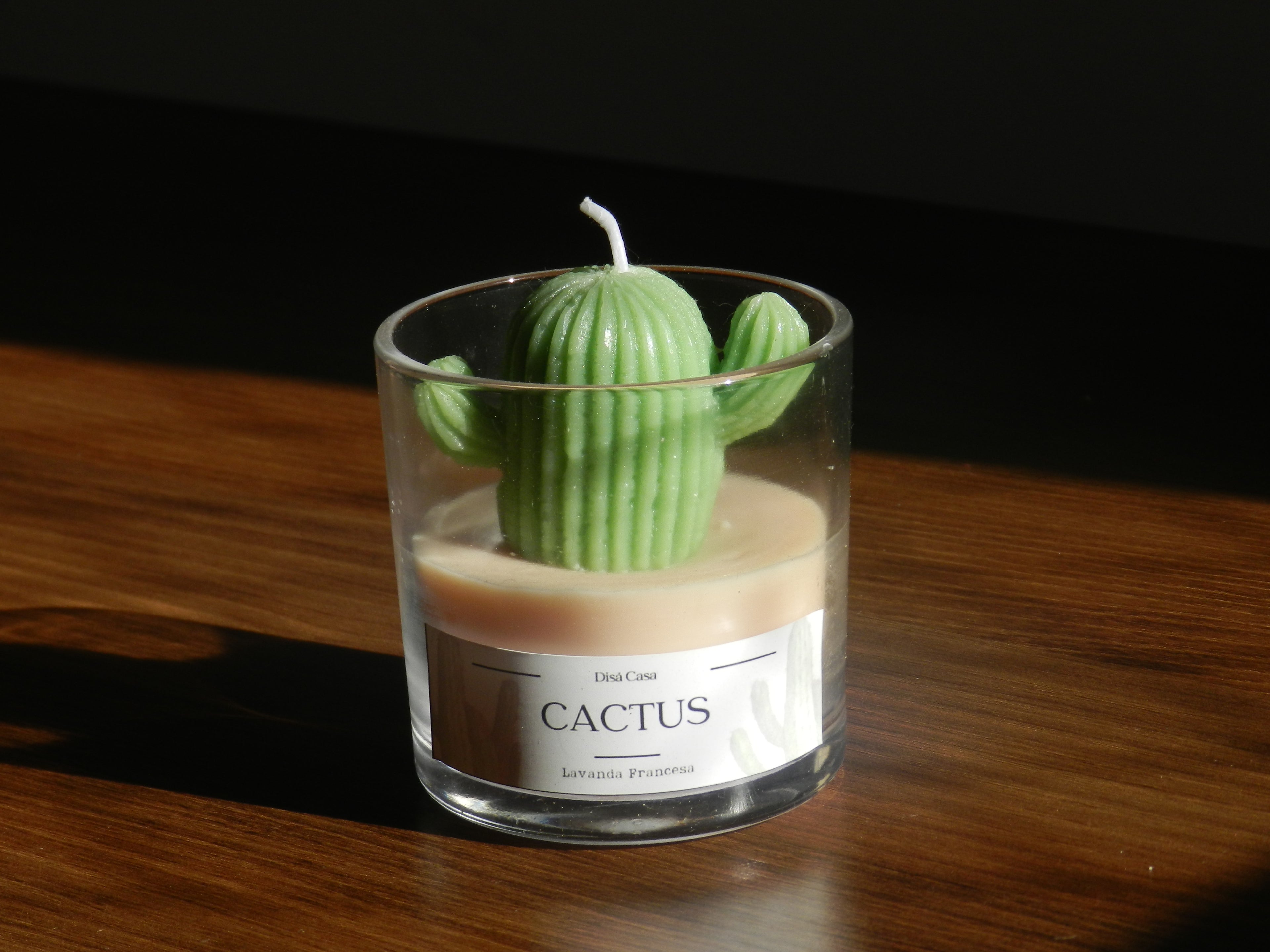 Vela Cactus