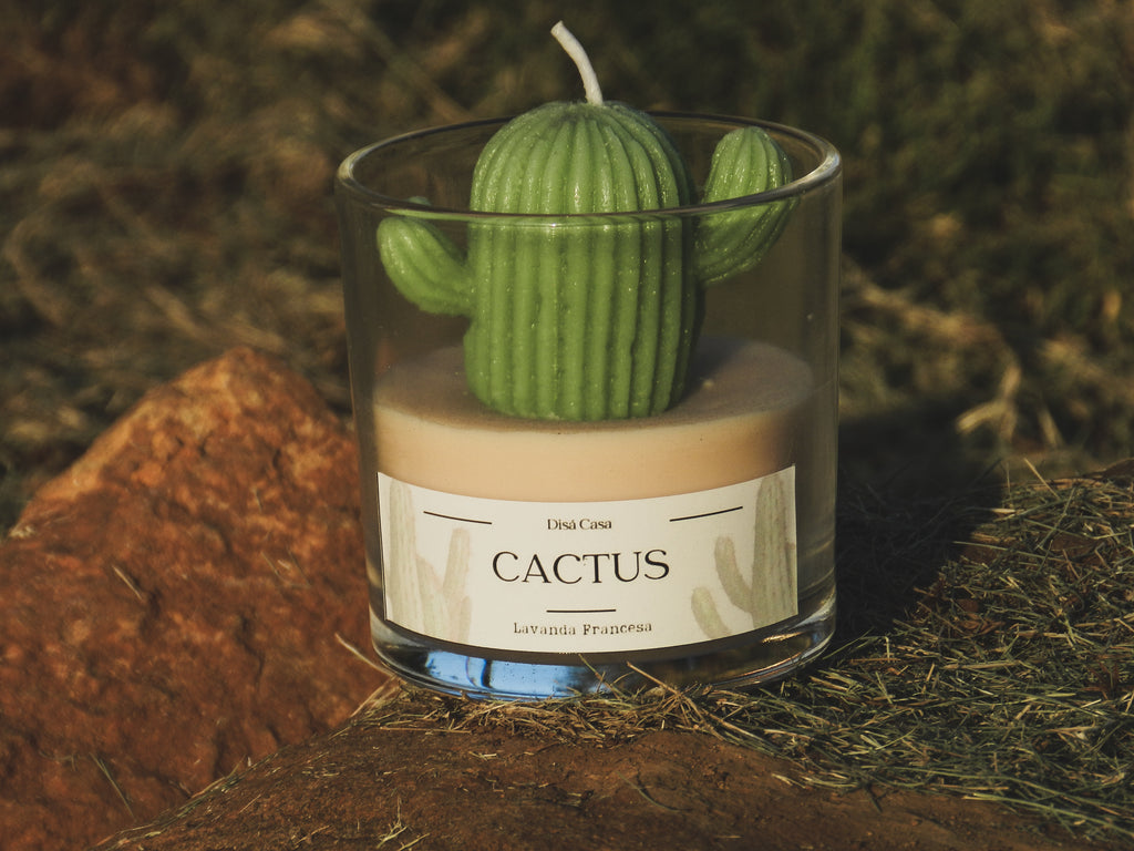 Vela Cactus