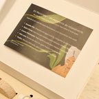 Kit Monstera - Spa em casa