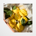 Vela Lemon