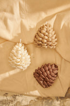 Vela Pinha