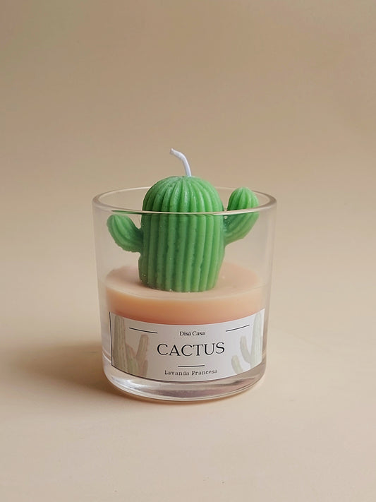 Vela Cactus